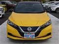 2019 Nissan Leaf