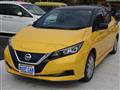 2019 Nissan Leaf