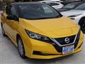 2019 Nissan Leaf