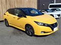 2019 Nissan Leaf