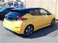 2019 Nissan Leaf