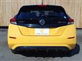 2019 Nissan Leaf