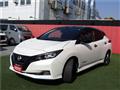 2021 Nissan Leaf
