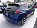 2019 Nissan Leaf