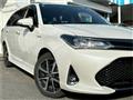 2019 Toyota Corolla Fielder