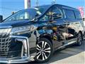 2020 Toyota Alphard G