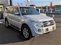 2011 Mitsubishi Pajero