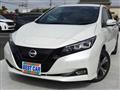 2022 Nissan Leaf