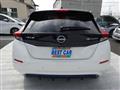 2022 Nissan Leaf
