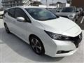 2022 Nissan Leaf