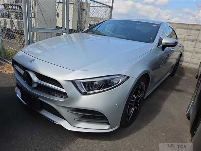 2019 Mercedes-Benz Cls-Class