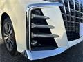 2018 Toyota Alphard G