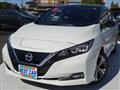 2019 Nissan Leaf