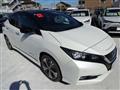2019 Nissan Leaf
