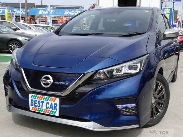 2019 Nissan Leaf