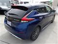 2019 Nissan Leaf