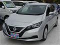 2020 Nissan Leaf
