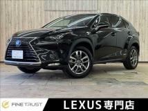 2018 Lexus Other