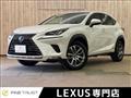 2020 Lexus Other