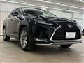2019 Lexus RX