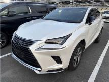 2020 Lexus Other