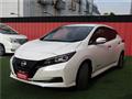 2021 Nissan Leaf