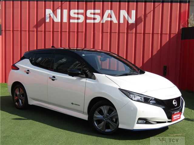 2021 Nissan Leaf