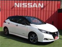 2021 Nissan Leaf