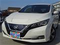 2018 Nissan Leaf