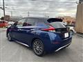 2019 Nissan Leaf