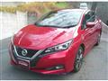 2021 Nissan Leaf