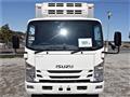2016 Isuzu Elf Truck