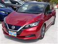 2019 Nissan Leaf