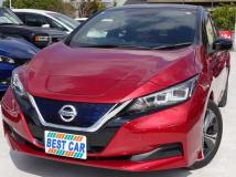 2019 Nissan Leaf