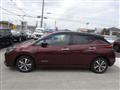 2021 Nissan Leaf
