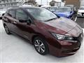 2021 Nissan Leaf