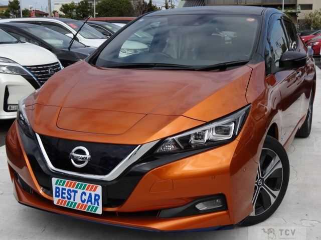2021 Nissan Leaf