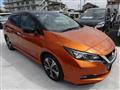 2021 Nissan Leaf