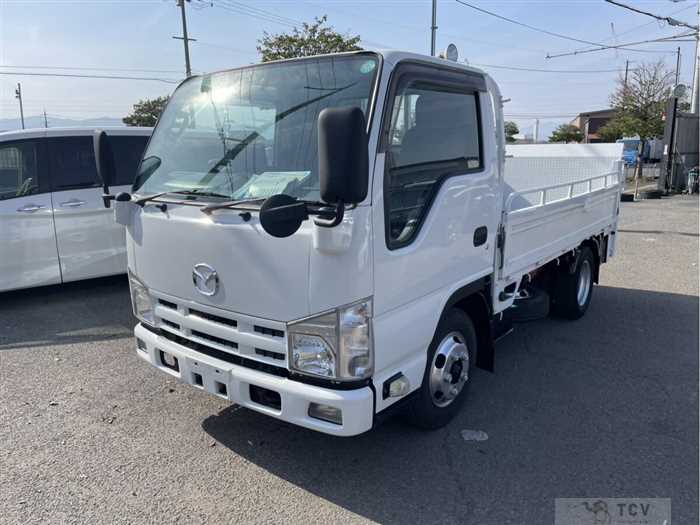 2013 Isuzu Elf Truck