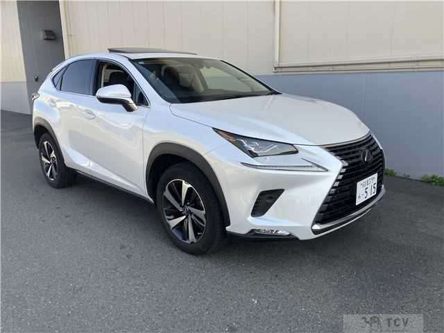 2020 Lexus Other
