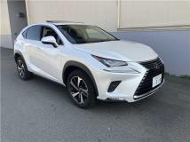 2020 Lexus Other
