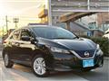 2019 Nissan Leaf