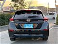 2019 Nissan Leaf