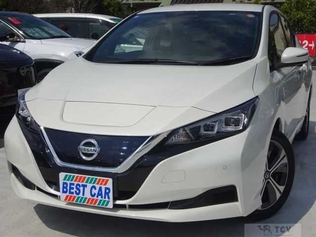 2020 Nissan Leaf