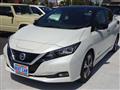 2018 Nissan Leaf