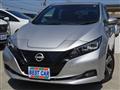 2021 Nissan Leaf
