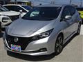2021 Nissan Leaf