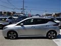 2021 Nissan Leaf