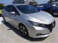 2021 Nissan Leaf