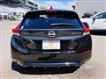 2021 Nissan Leaf